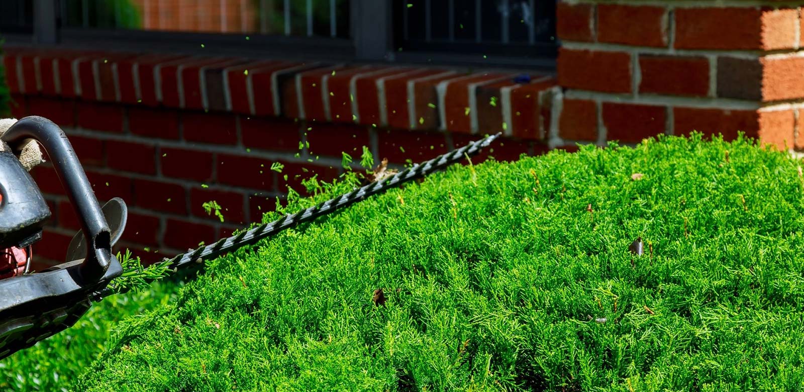 Adding Perfection to Your Lawn Since 2003