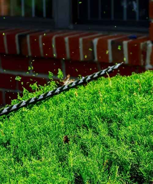 Adding Perfection to Your Lawn Since 2003