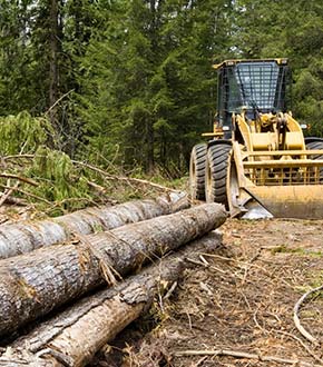 Land Clearing