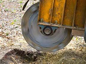 Stump Grinding and Removal